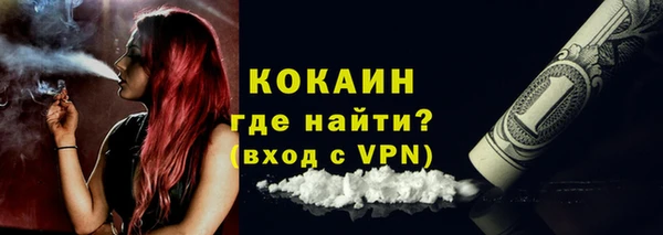 ешки Пересвет