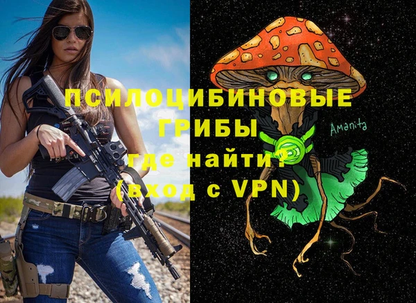 хмурый Абинск