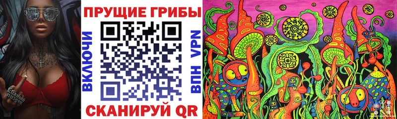цена наркотик  Эртиль  Псилоцибиновые грибы Cubensis 